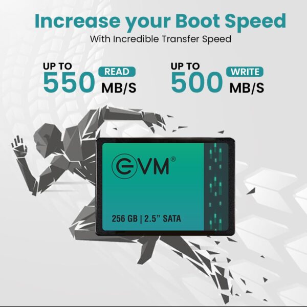 EVM 256GB 2.5-Inch SATA Internal SSD