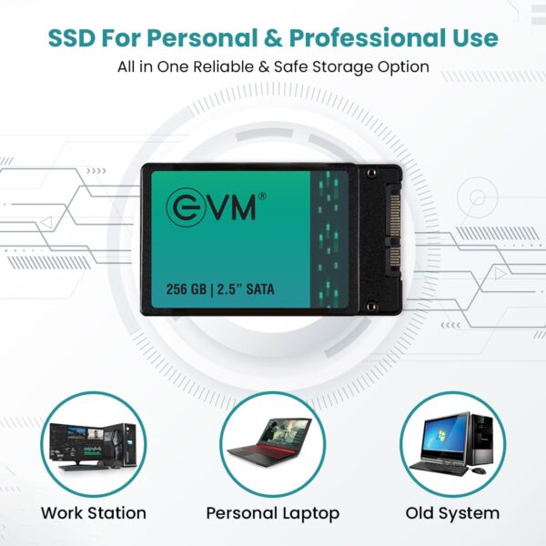 EVM 256GB 2.5-Inch SATA Internal SSD