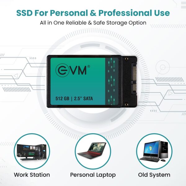 EVM 512GB 2.5-Inch SATA Internal SSD